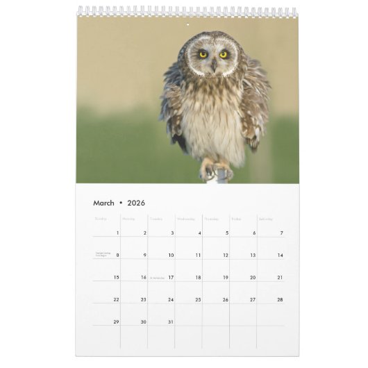 2018 Owl Lovers Wall Calendar Kalender (Mar 2026)