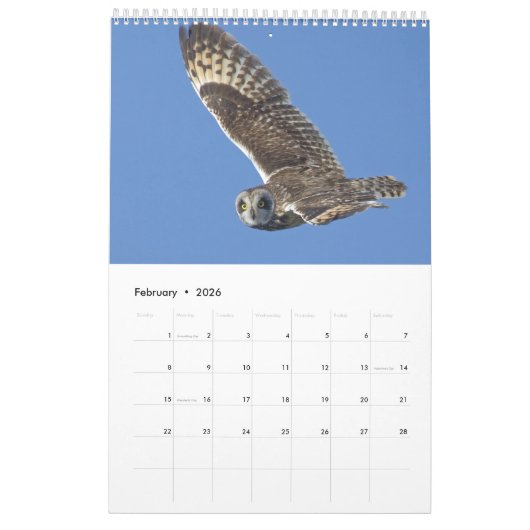 2018 Owl Lovers Wall Calendar Kalender (Feb 2026)
