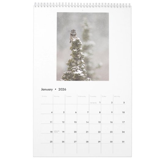 2018 Owl Lovers Wall Calendar Kalender (Jan 2026)