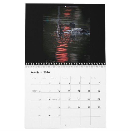 2018 Pine Lake Loon Calendar Kalender (Mar 2026)