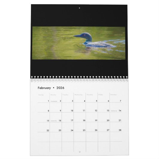 2018 Pine Lake Loon Calendar Kalender (Feb 2026)