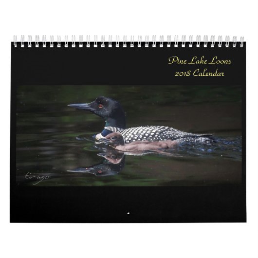 2018 Pine Lake Loon Calendar Kalender (Hoes)