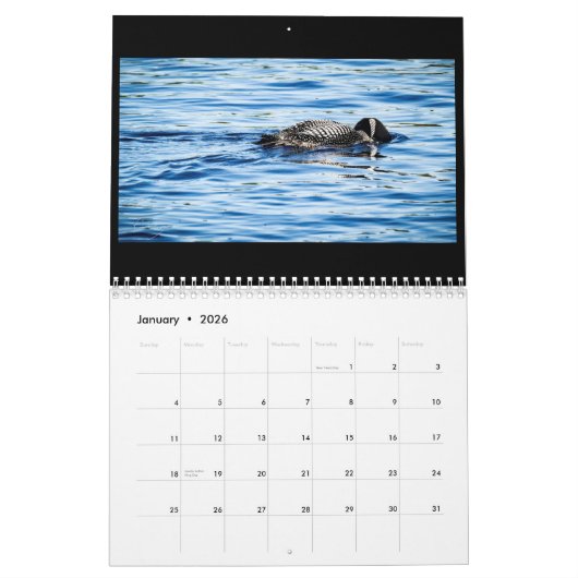 2018 Pine Lake Loon Calendar Kalender (Jan 2026)