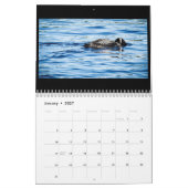2018 Pine Lake Loon Calendar Kalender (Jan 2027)