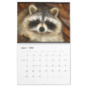 2018 Raccoons van Wilde Blue Yonder Wildlife Rescu Kalender (Mar 2026)