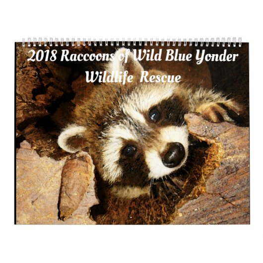 2018 Raccoons van Wilde Blue Yonder Wildlife Rescu Kalender (Hoes)