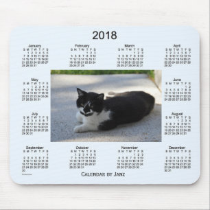 2018 Sassy Cat Calendar van Janz Muismat