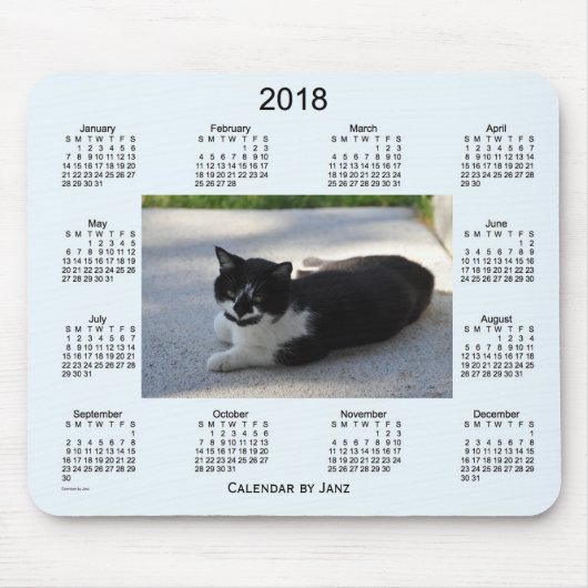 2018 Sassy Cat Calendar van Janz Muismat (Voorkant)