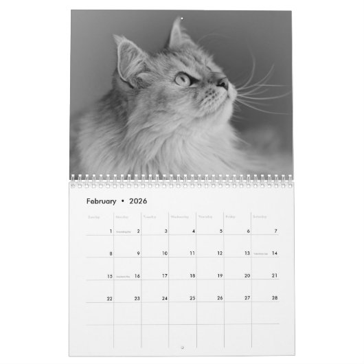 2018 Siberische kat-kalender Kalender (Feb 2026)