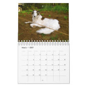2018 Silken Windhounds (andere) Kalender (Mar 2027)