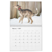 2018 Silken Windhounds (in actie) Kalender (Feb 2027)