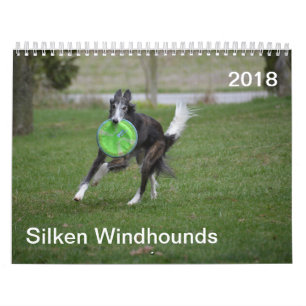 2018 Silken Windhounds (in actie) Kalender