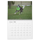 2018 Silken Windhounds (in actie) Kalender (Jan 2026)