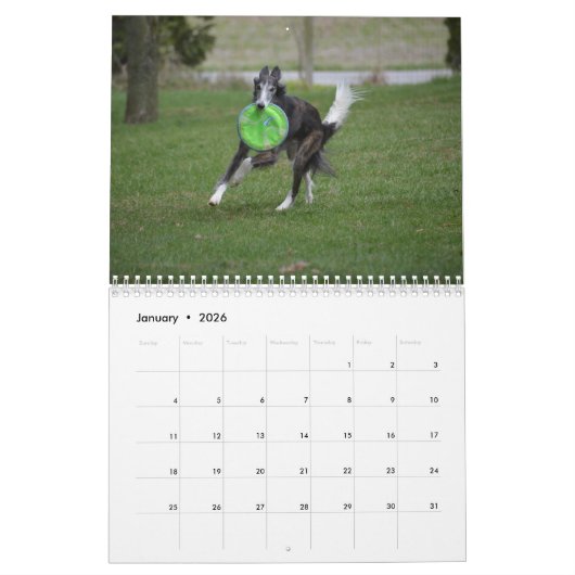 2018 Silken Windhounds (in actie) Kalender (Jan 2026)