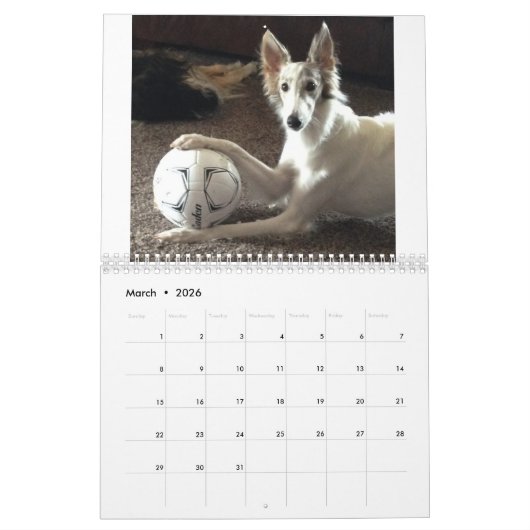 2018 Silken Windhounds (in actie) Kalender (Mar 2026)