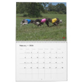 2018 Silken Windhounds (multiple dogs) Kalender (Feb 2026)