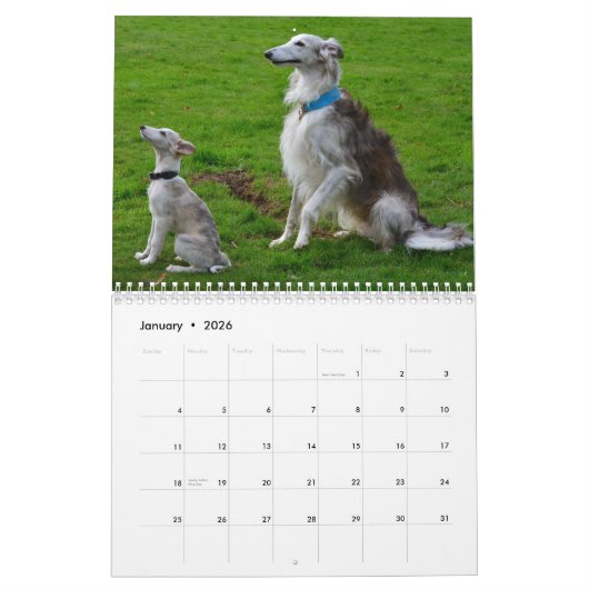 2018 Silken Windhounds (multiple dogs) Kalender (Jan 2026)