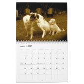 2018 Silken Windhounds (multiple dogs) Kalender (Mar 2027)