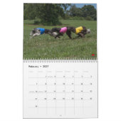 2018 Silken Windhounds (multiple dogs) Kalender (Feb 2027)