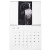 2018 Silken Windhounds (volledig lichaam) 3 Kalender (Mar 2027)
