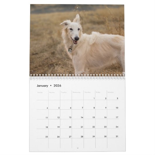 2018 Silken Windhounds (volledig lichaam) 3 Kalender (Jan 2026)