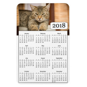2018 Tijdelijk aangepast Kat Foto Magnet Magneet