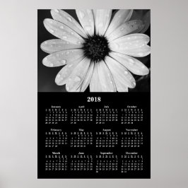 2018 Wandkalender Afrikaanse Madeliefje Poster