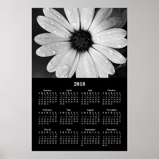 2018 Wandkalender Afrikaanse Madeliefjes Poster (Voorkant)