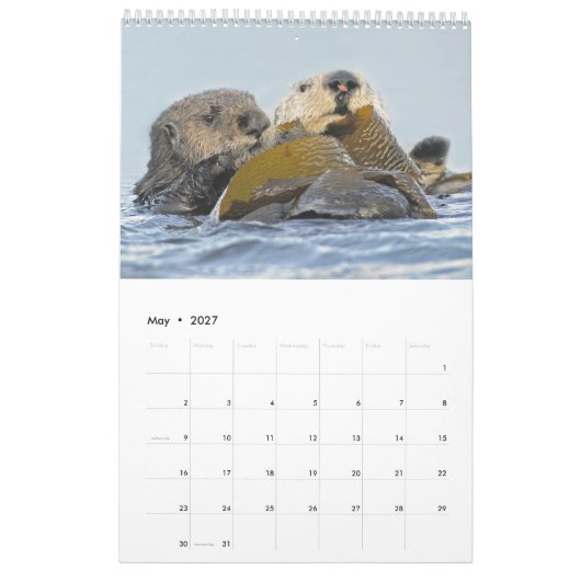 2018 Wildlife Wall Calendar - Into the Wild Kalender (Mei 2027)