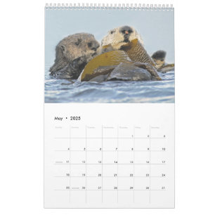 2018 Wildlife Wall Calendar - Into the Wild Kalender