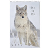2018 Wildlife Wall Calendar - Into the Wild Kalender (Hoes)