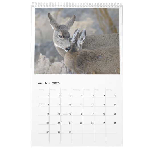 2018 Wildlife Wall Calendar - Into the Wild Kalender (Mar 2026)