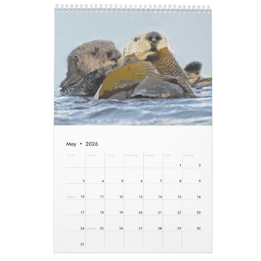 2018 Wildlife Wall Calendar - Into the Wild Kalender (Mei 2026)