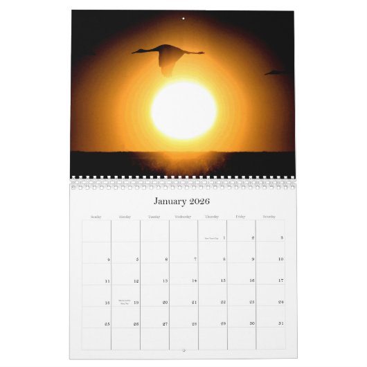 2019/2020 Crane Birds Animals Wildlife Calendar Kalender (Jan 2026)
