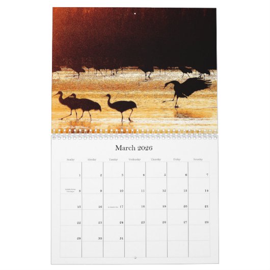 2019/2020 Crane Birds Animals Wildlife Calendar Kalender (Mar 2026)