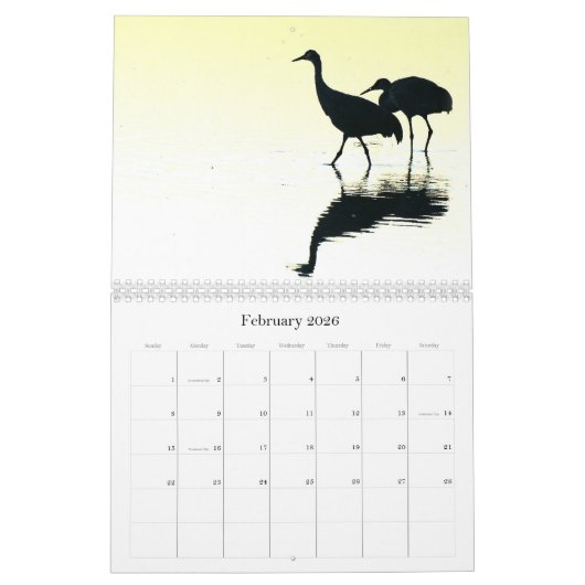 2019/2020 Crane Birds Animals Wildlife Calendar Kalender (Feb 2026)