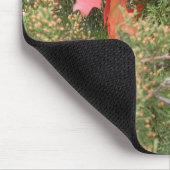 2019-2020 Oak Leaf 2 Year Agenda van Janz Muismat (Hoek)