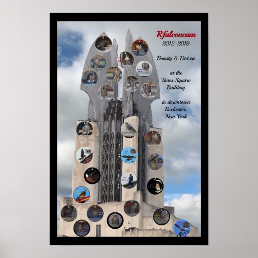 2019 Beauty en Dot.ca 13x19 Poster op Time Square (Voorkant)