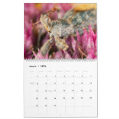 2019 Bug Eyed Beauties Macro Photography Calendar Kalender (Mar 2026)
