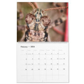 2019 Bug Eyed Beauties Macro Photography Calendar Kalender (Feb 2026)