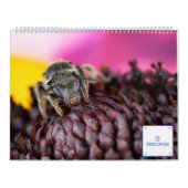 2019 Bug Eyed Beauties Macro Photography Calendar Kalender (Hoes)