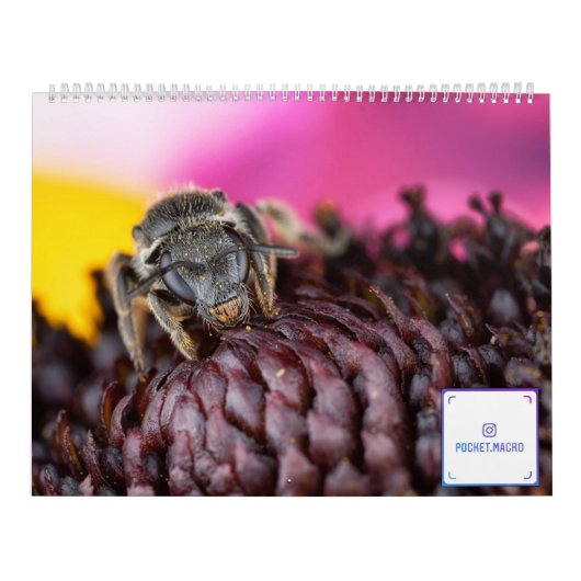 2019 Bug Eyed Beauties Macro Photography Calendar Kalender (Hoes)