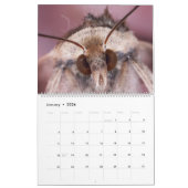 2019 Bug Eyed Beauties Macro Photography Calendar Kalender (Jan 2026)