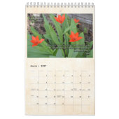 2019 Cedar Rapids Zen Center Calendar Kalender (Mar 2027)