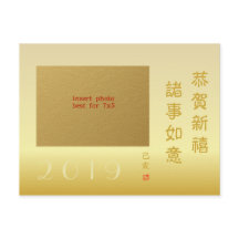 2019 Chinees Nieuwjaar van het Varken Familie Foto