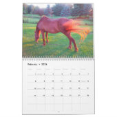 2019 Clifford the Morgan Horse Wall Calendar Kalender (Feb 2026)