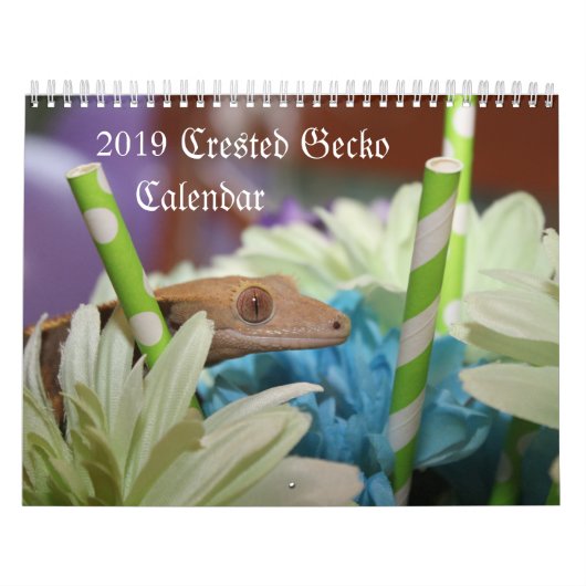 2019 Crested Gecko Calendar Kalender (Hoes)