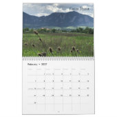 2019 DeBie Hive 52+ Photo Challenge Calendar Kalender (Feb 2027)