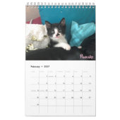 2019 Foster Kitten Agenda Kalender (Feb 2027)