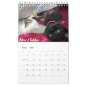 2019 Foster Kitten Agenda Kalender (Mar 2026)